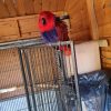 Buy Bird Cages Online